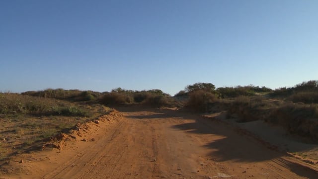 Walk on along Coastal Scenery along Dunes and Kangaroos with the Sounds of the Ocean (4)