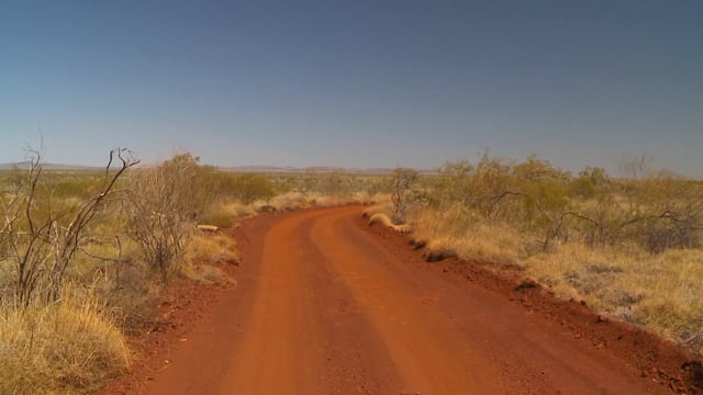 Fitness Journeys – Forest and Bush Trails Millstream, Australia 4
