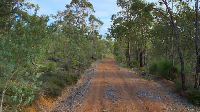 Fitness Journeys – Forest and Bush Trails Afternoon Walk, Australia 2