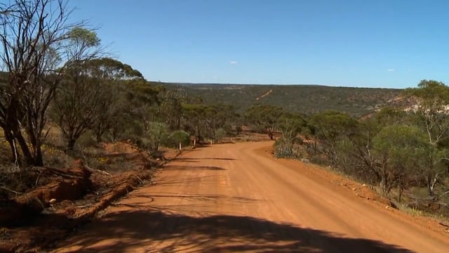 Fitness Journeys – Forest and Bush Trails Jog, Australia 1