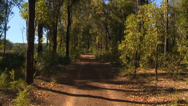 fitness_journeys_-_forest_and_bush_trails 5