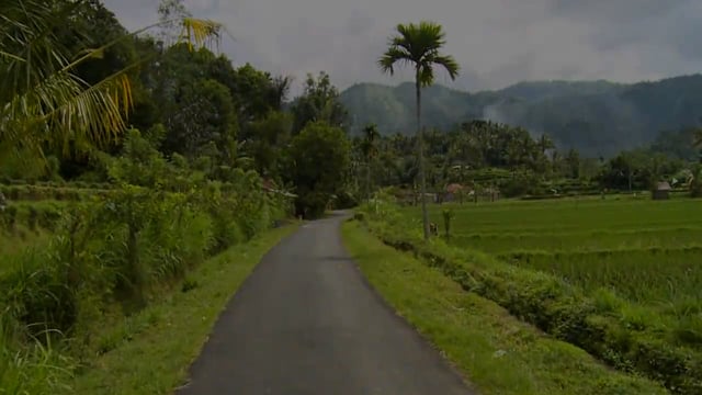 Fitness Journeys – Villages and Rice Fields, Bali, Indonesia 2