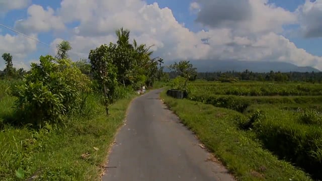 Fitness Journeys – Stunning Rice Fields, Bali, Indonesia 4