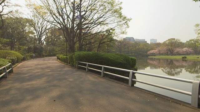 Virtual Walk – Tokyo Skyline with Robots, Japan 2