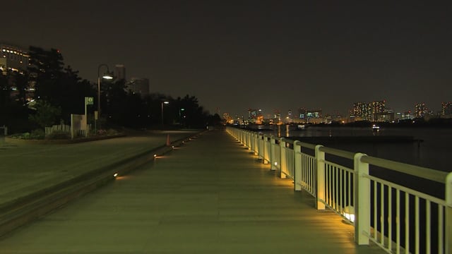 Virtual Walk – Aqua City Odaiba, Tokyo, Japan 1