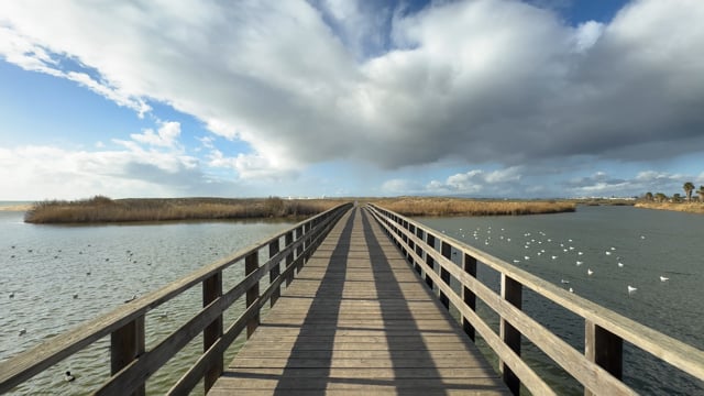Virtual Cycle - Armação de Pêra Boardwalks - Portugal
