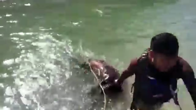 ▶️.....ऋषिकेश के नीम बीच पर गंगा में डूबते व्यक्ति को बचाने के लिए राफ्टिंग टीम ने जितनी मेहनत से बचाया, उससे ज़्यादा मेहनत युवक को होश में लाने के लिए करनी पड़ी।
यह आज सुबह की घटना है, गंगा में पानी इतना ठंडा था कि डूबते वक्त युवक बेहोश हो गया, वो तो भला हो राफ्टिंग टीम का जो उसने खतरा भांपते हुए युवक को रेस्क्यू किया।