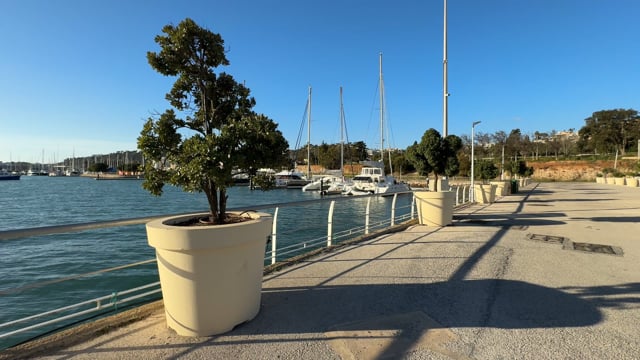 Virtual Cycle - Abu Dhabi Corniche