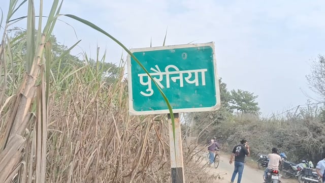 वाल्मीकि टाइगर रिजर्व के मंगुराहा वनप्रक्षेत्र के जंगलों से भटक कर निकला बाघ गेहूं के खेत में मृत मिला बाघ का शव, 