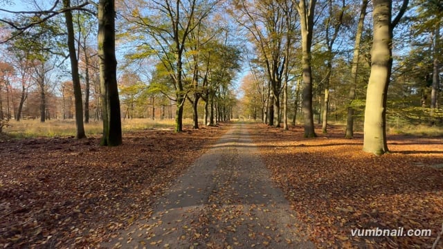 Virtual Cycle Rides – National Park De Veluwe, The Netherlands 2