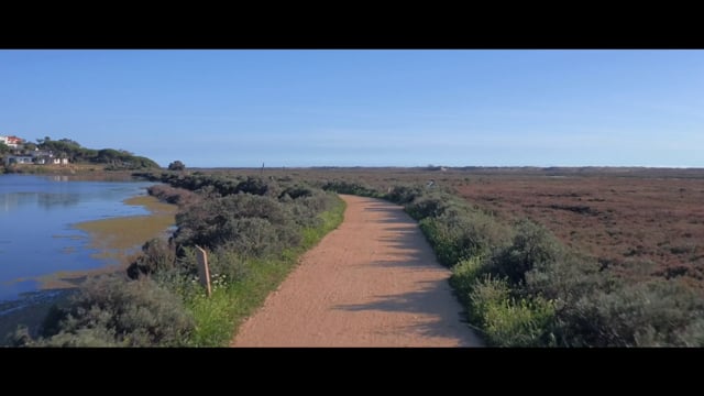 Nature Walk – Ria Formosa National Park, Algarve, Portugal 1