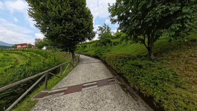Virtual Cycle – Unesco Prosecco Route, Italy 3
