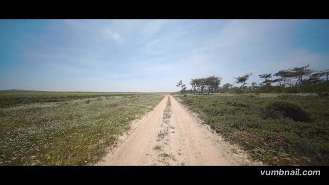Virtual Cycle - Sea Fog Forest - Portugal