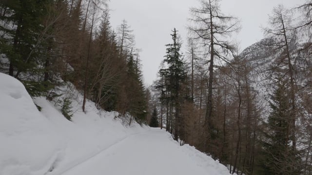 Nature Walk – Zurich Mountains and Viewpoints, Switzerland