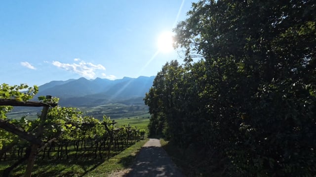 Virtual Cycle Ride – Strada del Vino, South Tyrol, Italy