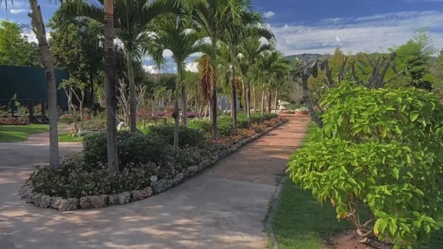 Nature Walk – Tropical Gardens