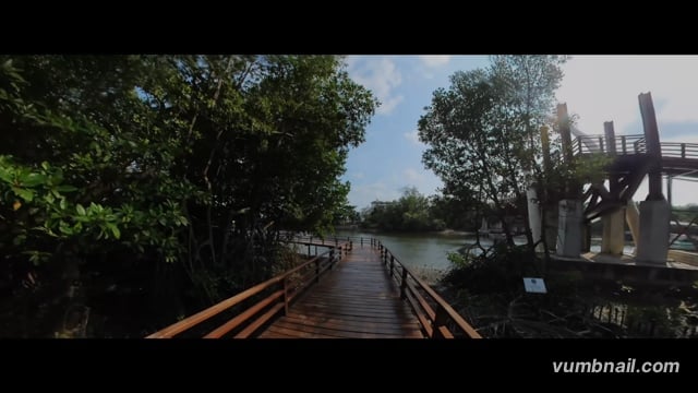 Virtual Cycle Rides  – Mangrove Boardwalks, Thailand 2