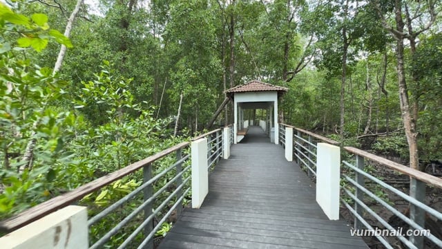 Virtual Cycle – Mangrove Boardwalk, Malaysia