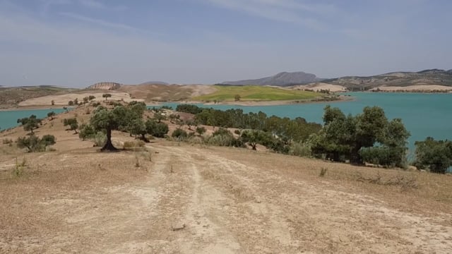 Nature Walk – Emerald Lakes Trail 2