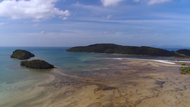 Nature Walk – Mangrove Beach with Animals and Scenery, Thailand