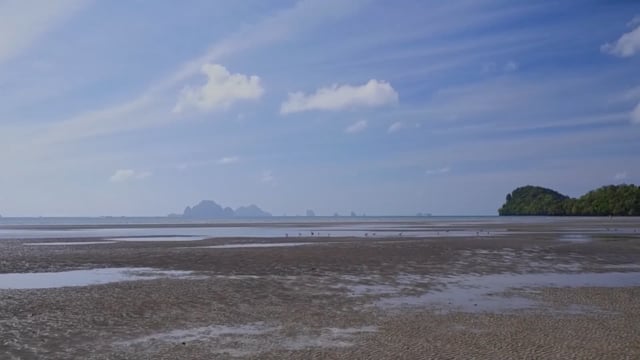 Nature Walk – Mangrove Beach, Thailand