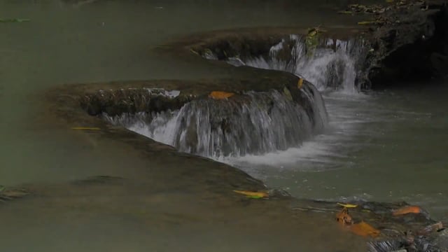 Nature Walk – Tropical Waterfalls with Animals and Scenery, Thailand