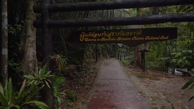 Nature Walk – Tropical Waterfalls, Thailand