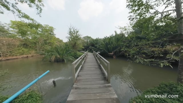 Virtual Cycle Rides – Urban Green Oasis, Bang Kachao, Bangkok, Thailand 1