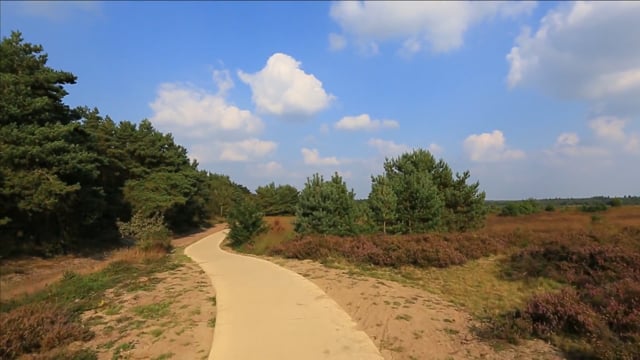 Nature Walk – Forest Trail 2