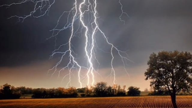 MANT- ठंड बारिश और आकाशीय बिजली का कहर, मोजी नगला में दो भेडों की मौत,,