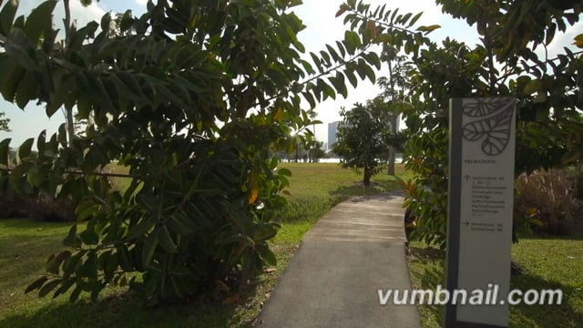 Virtual Walks – Geylang River Walk with Skyline Views Ending at Gardens by the Bay – Singapore