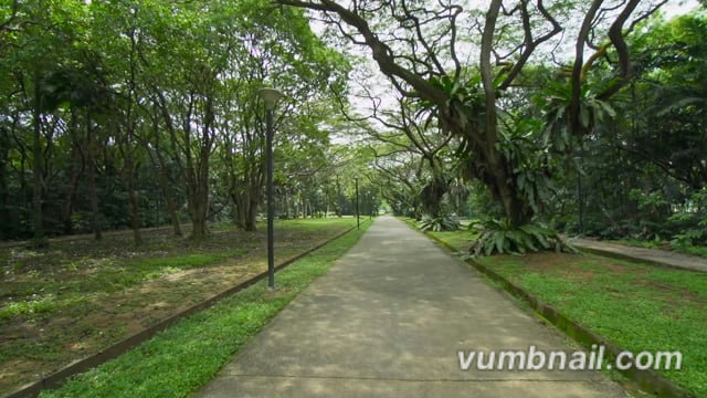 Virtual Walks – East Coast Park Coastal Walk with Coconut Palms and Tropical Flowers – Singapore