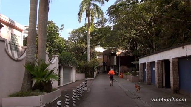 Virtual Walks – Bowen Road Jogging Trail with Skyscraper Views – Hong Kong