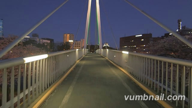 Virtual Walks – Twilight Cherry Blossom Walk with Illuminations and Osaka Castle in Rain – Osaka, Japan