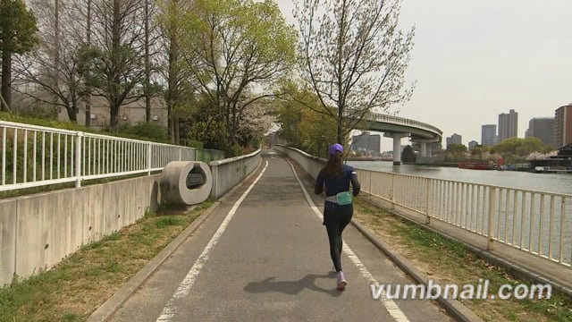 Virtual Walks – Cherry Blossom Walk Along the River – Osaka, Japan