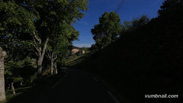 Virtual Walks – Lavender Fields Walk 3 – Provence, France