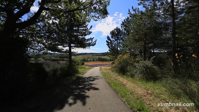 Virtual Walks – Lavender Fields Walk 1 – Provence, France