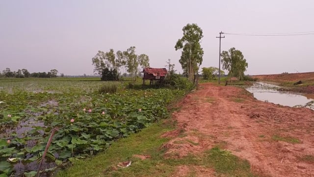 Virtual Walk – Red Lotus Lake Fisherman, Thailand 1