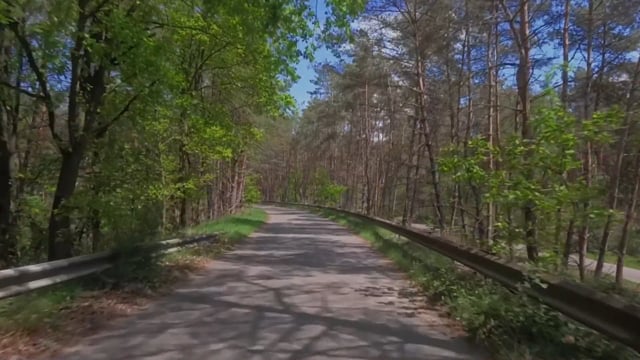 Virtual Cycle Rides – Spring Green Forest, Netherlands 2