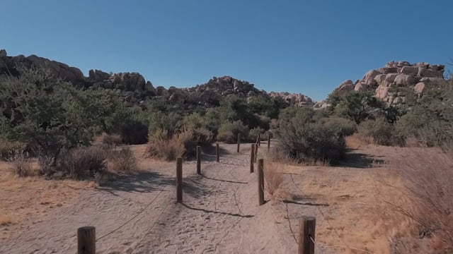 Virtual Run – Joshua Tree National Park, California, USA 3