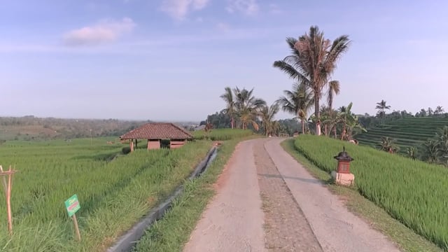 Virtual Cycle Rides – Ricefields – Bali, Indonesia
