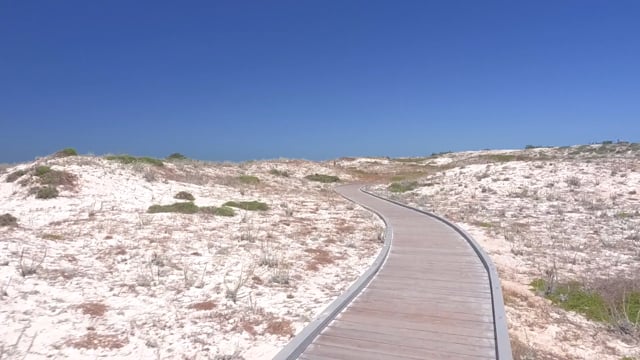 Virtual Cycle Rides – Ocean Trail, Monterey, California, USA 1