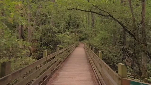 Virtual Cycle Rides – Waterfall Park, Bellingham, Washington, USA 2