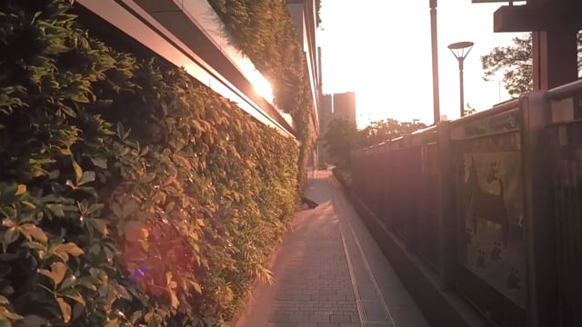 Virtual Cycle Rides – Central at Night – Hong Kong