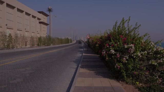 Virtual Cycle Rides – Palm Boardwalk Sunset Ride, Dubai, United Arab Emirates 3
