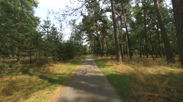 Virtual Cycle Rides – Spring and Summer Forest – The Netherlands Track 4 with Nature Sounds