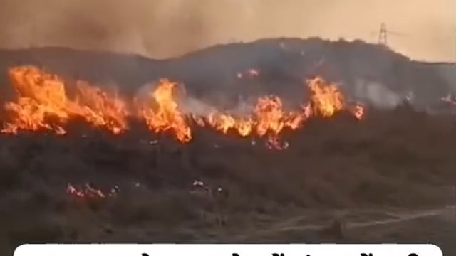 फतेहाबाद ब्लॉक क्षेत्र के गांव रिहावली के पास जंगल में अज्ञात कारणो से भीषण आग लगने से ग्रामीणों में हड़कंप मच गया