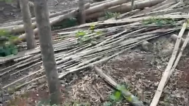 Video experiencia Shambhala 2