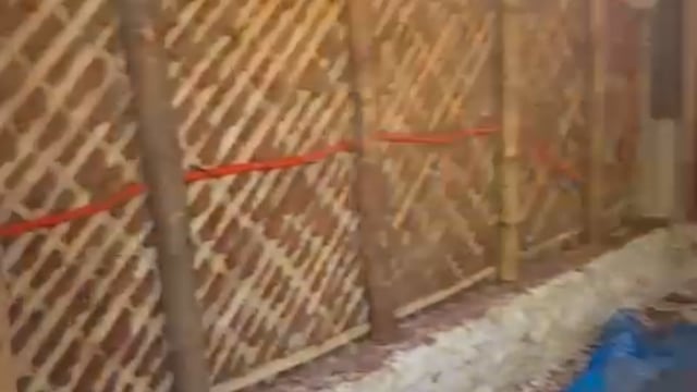 Video experiencia Shambhala 2