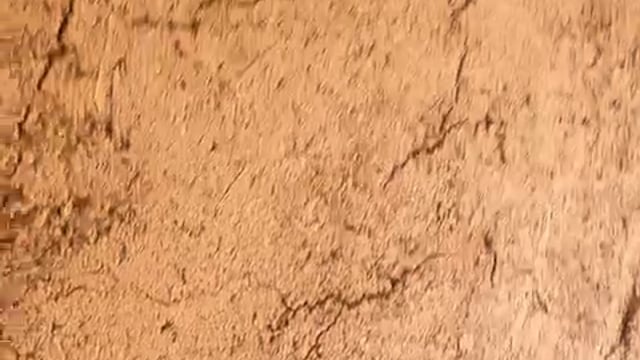 Video experiencia Shambhala 2